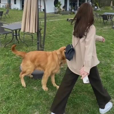 森林王子