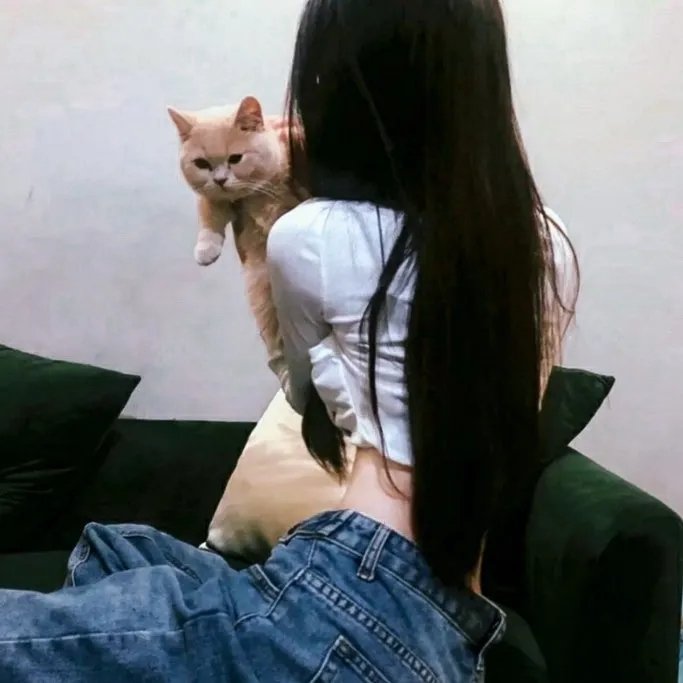 极光下